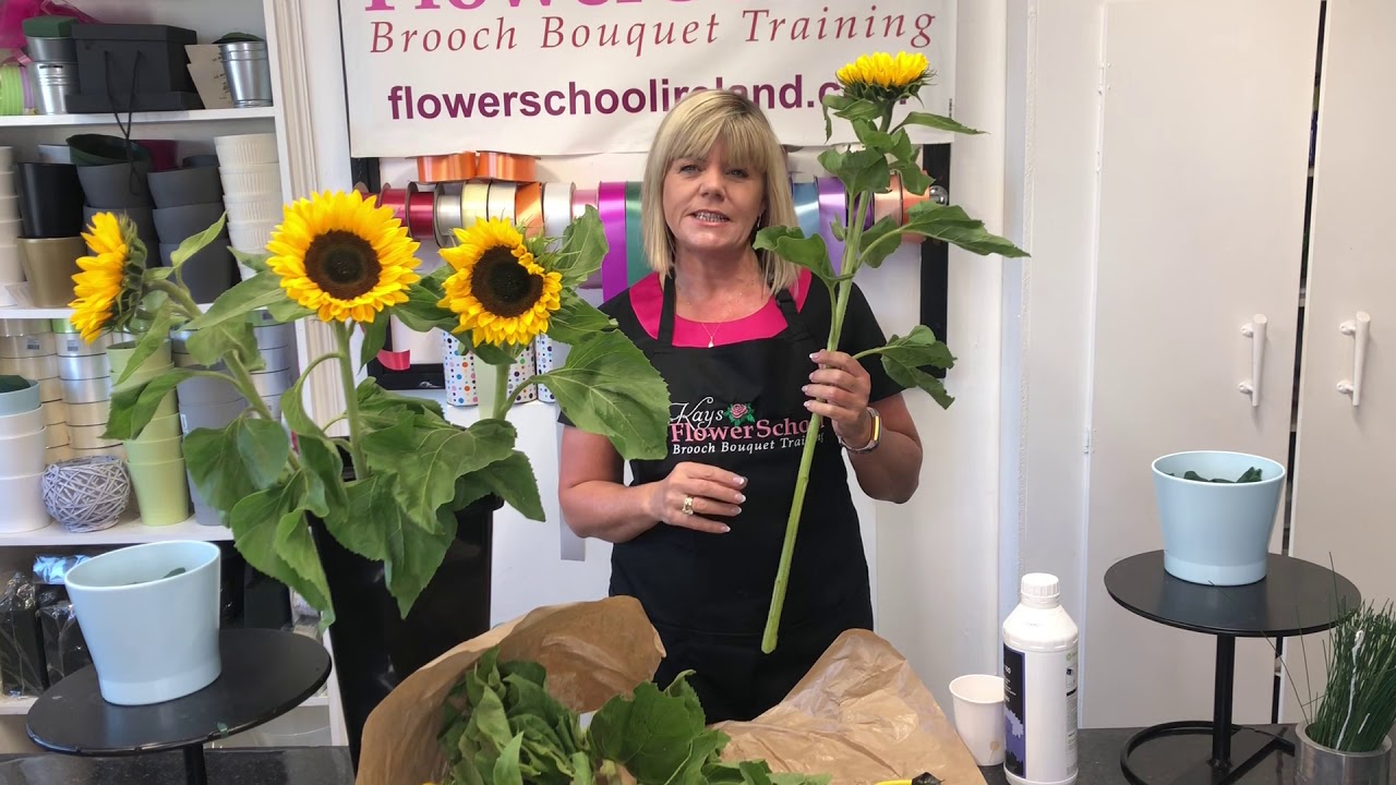 how to cut sunflowers for vase