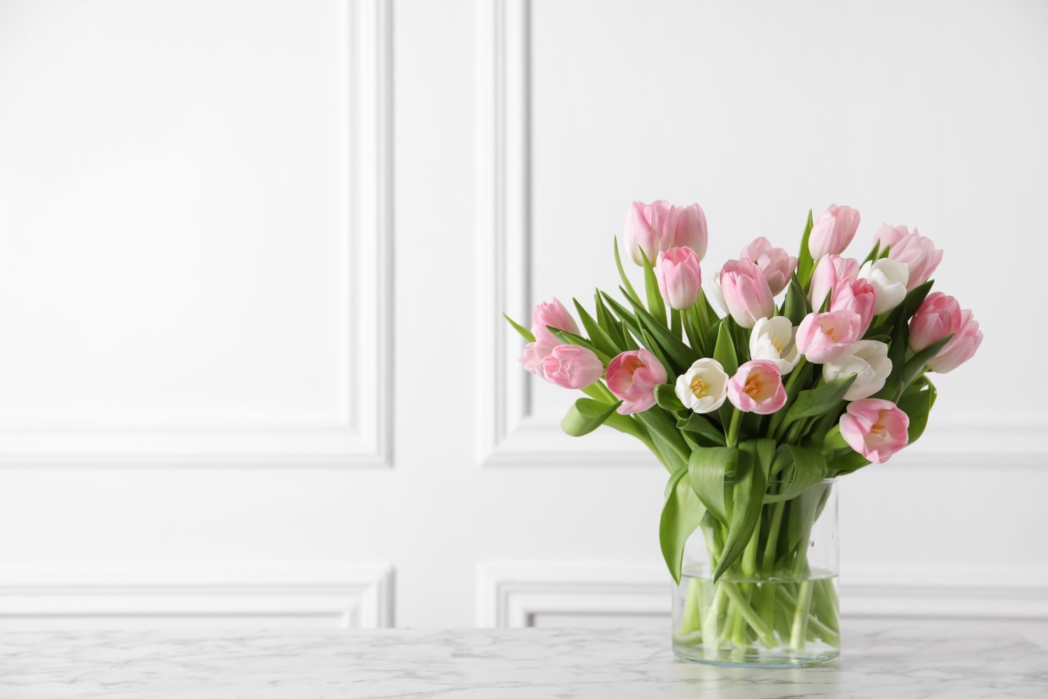 how to care for tulips in a vase