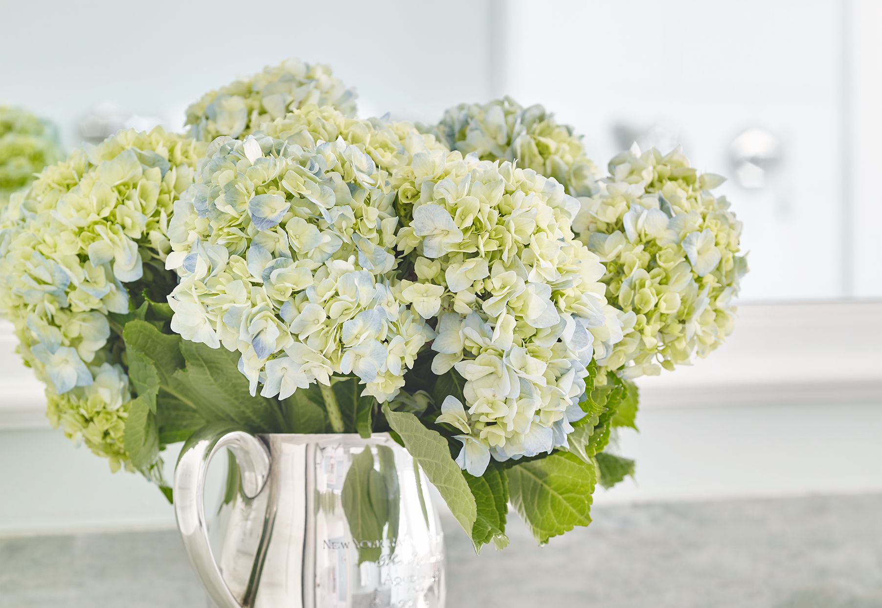 how to take care of hydrangeas in a vase
