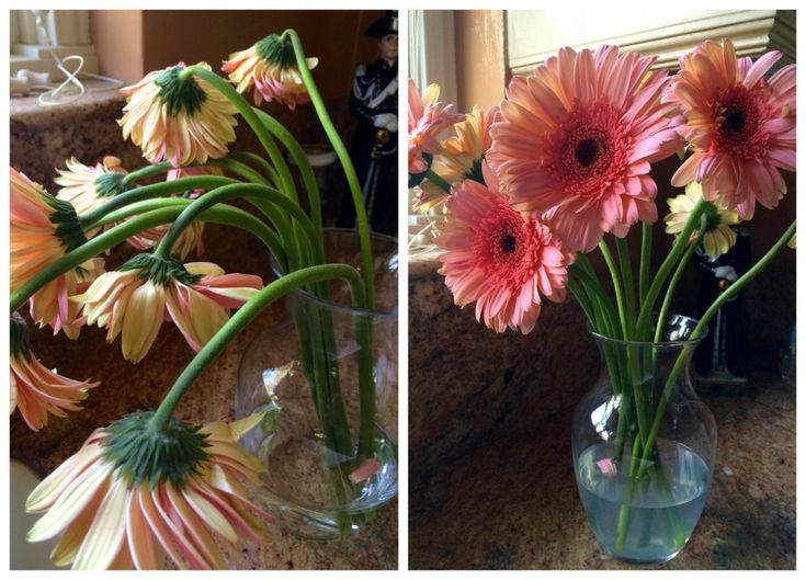 how to revive flowers in a vase