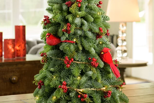 cardinal christmas decor
