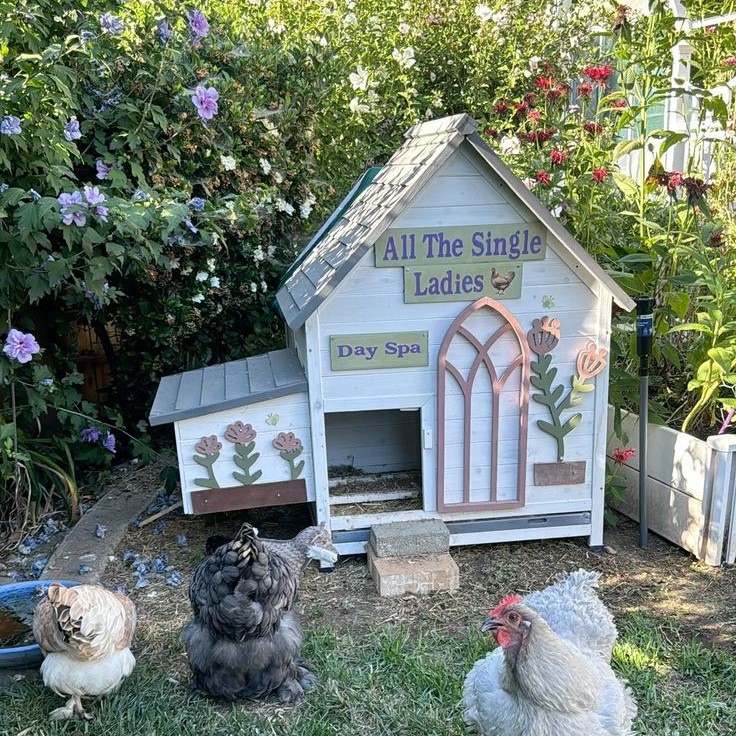 stylish chicken coop designs